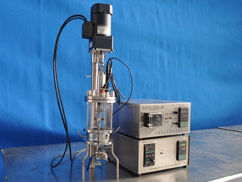 Enzyme reactor